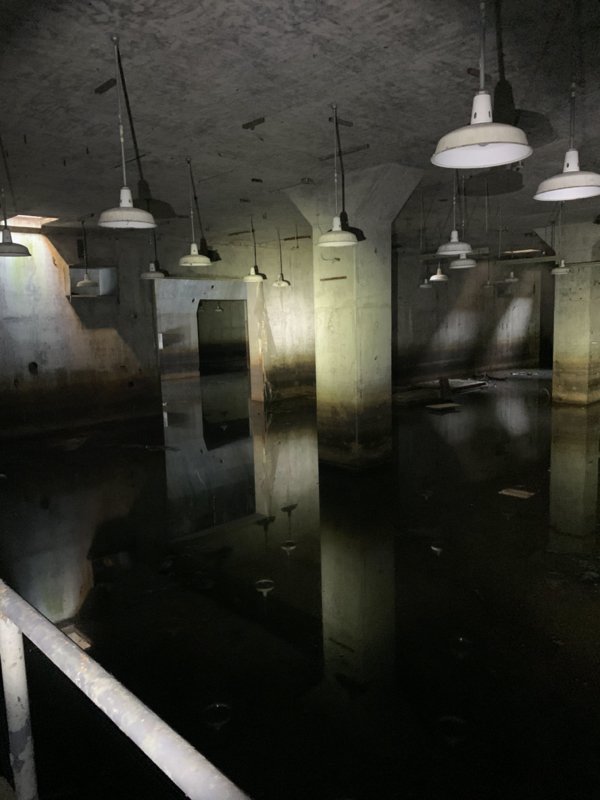 Abandonados-2