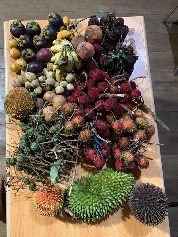 a-dan and az fruit coll