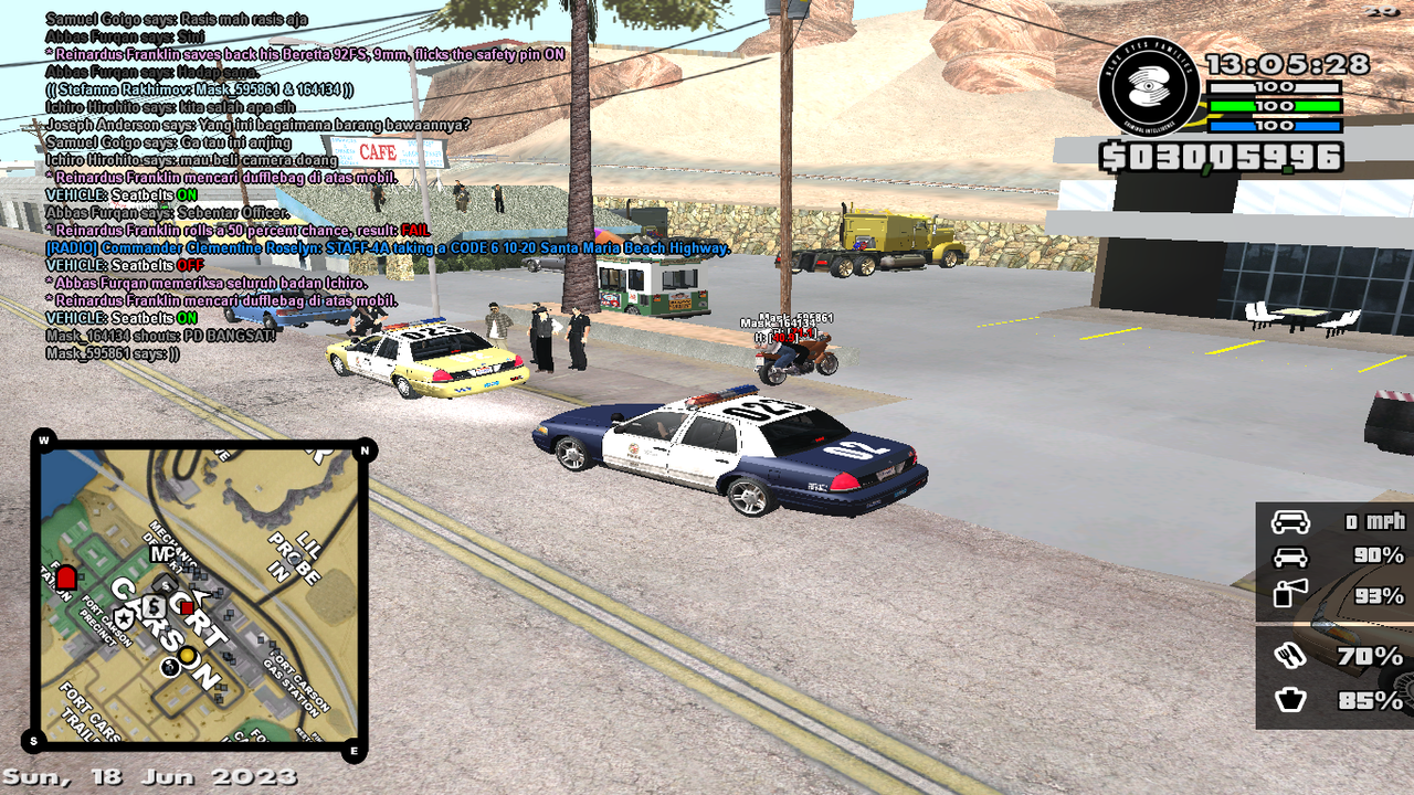 samp-18-06-2023-13-05-29.png