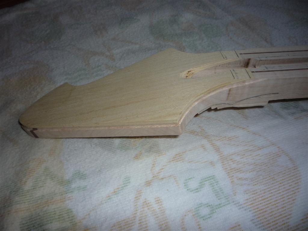 462184_p1020104_medium