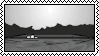 80