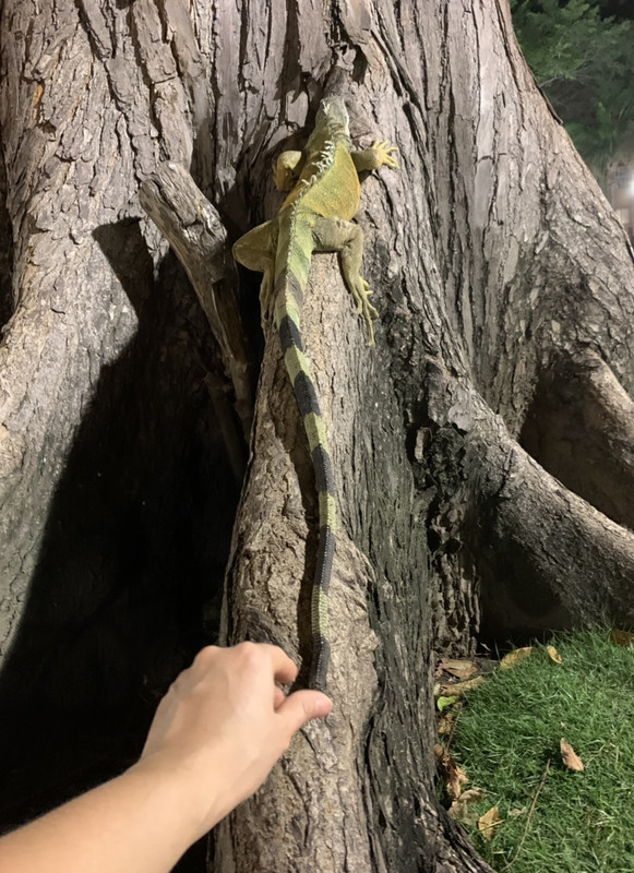 143D9552-1299-4A66-B8F7-69DC184DA19B