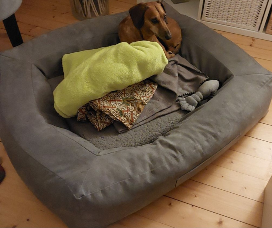 [Image: IMG-20240913-090447.jpg]