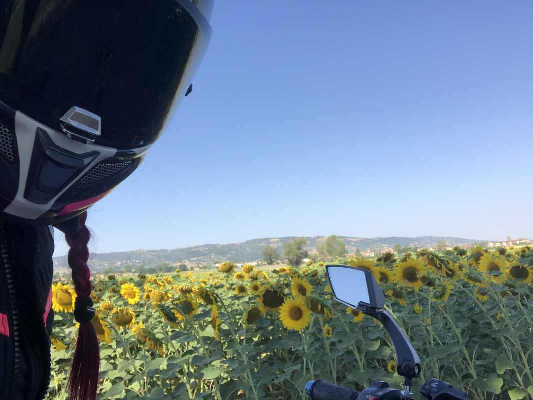 3873A24B-E4E7-4DC9-B63F-8D94CAE31AAB