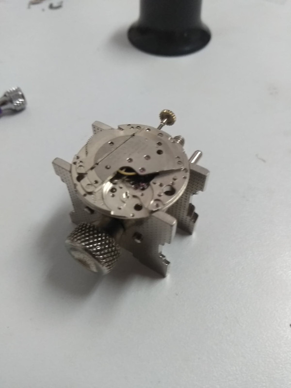 68732867_469673110531771_8576258389632352256_n