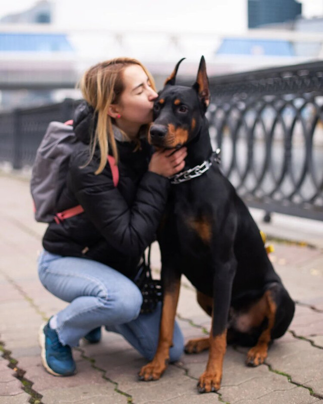 68877670-8BE7-4A74-BDE4-DE8B16166DD0