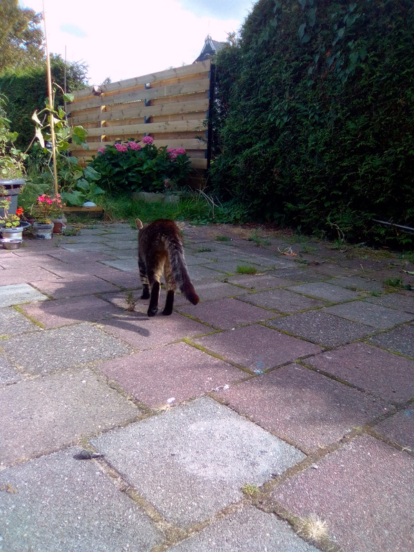 муся когда только пришла (7)