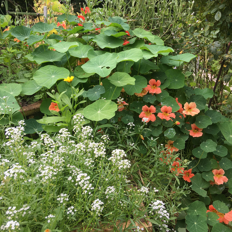 дачное и по ремонту недоделки 103