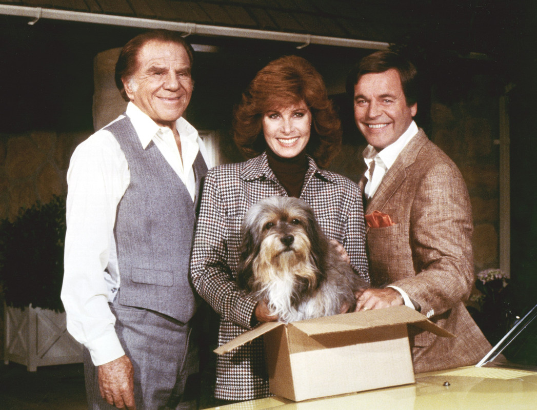stefanie_powers_a82
