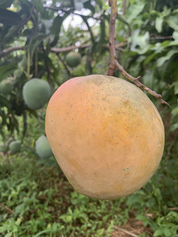 CDB7285F-4745-44FE-BFFE-D0728BC24856