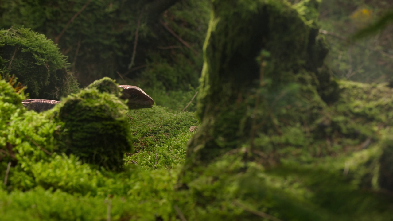 vlcsnap 2026 03 06 09h58m40s592