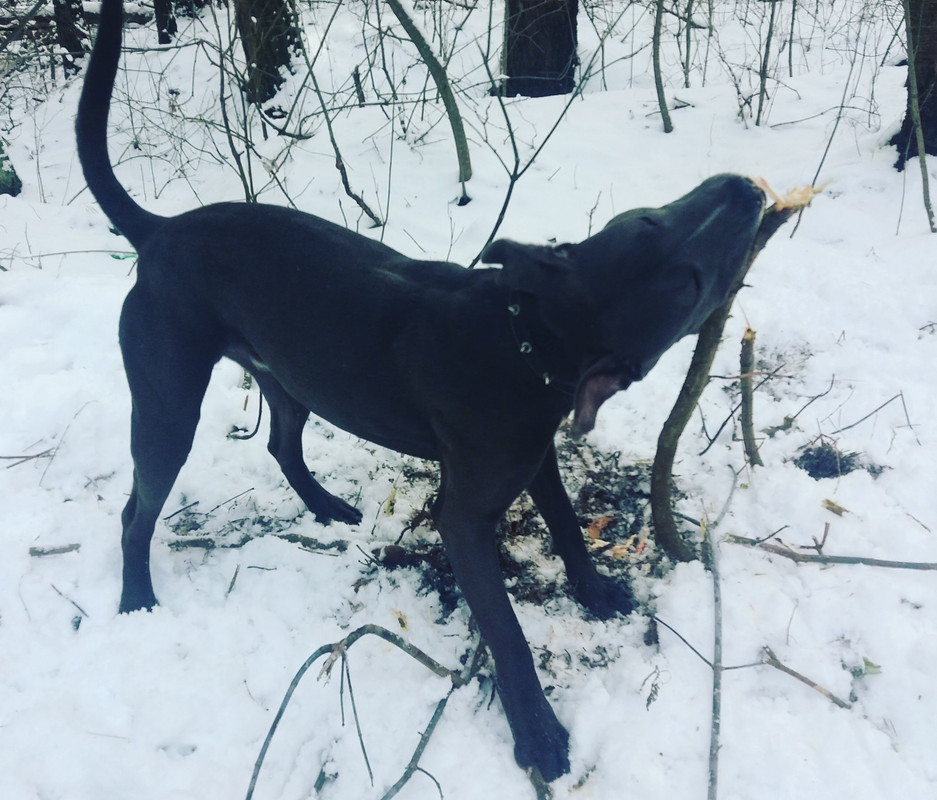 IMG_20180207_150900_672