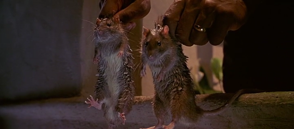 vlcsnap-2016-10-02-14h24m52s085