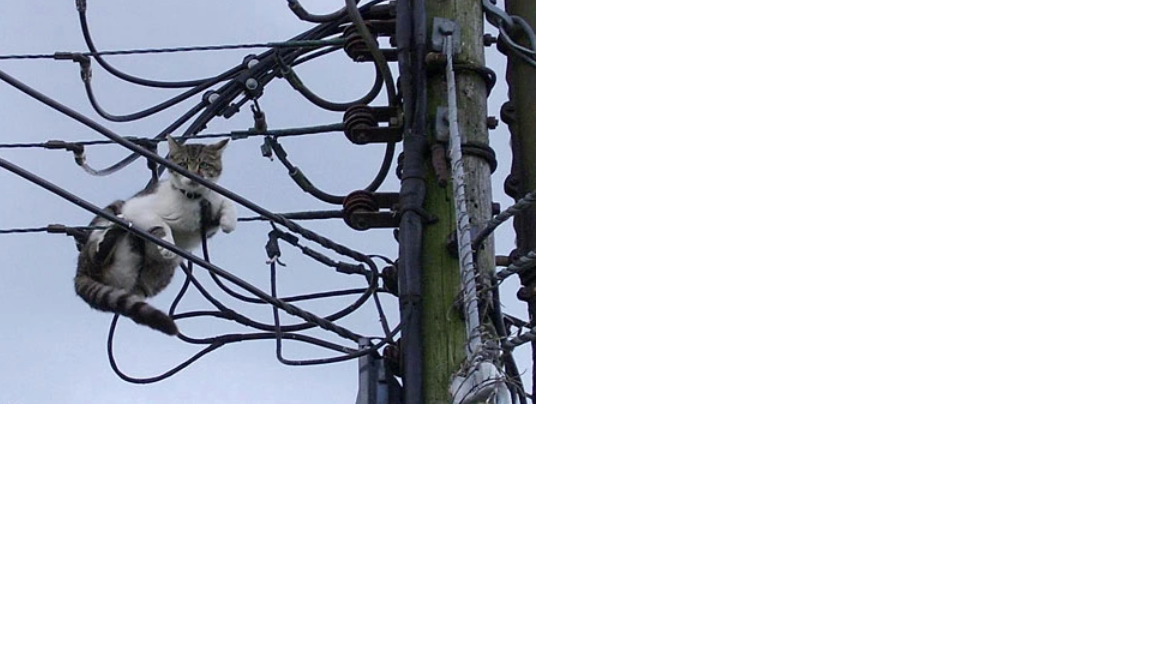 vst.png