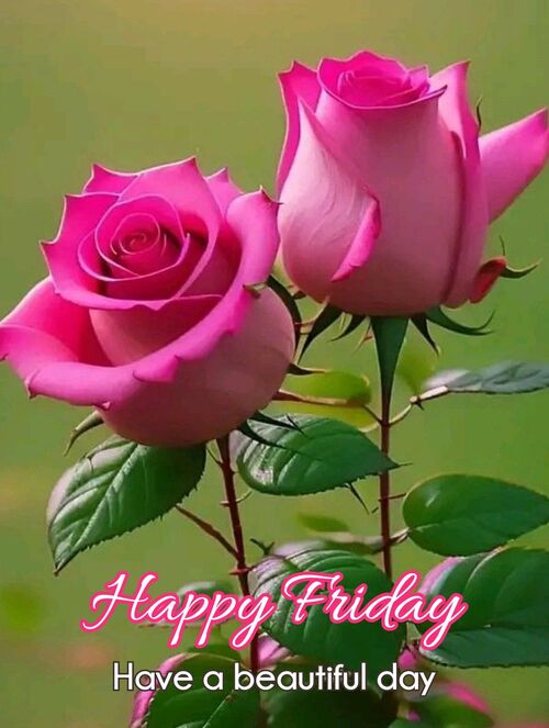 oie-3075041y7bbyy-Ol