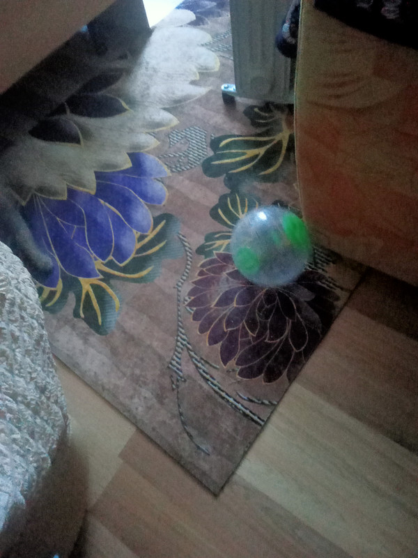IMG20241001180445.jpg
