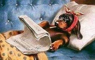 [Image: r-tablissement-7.jpg]