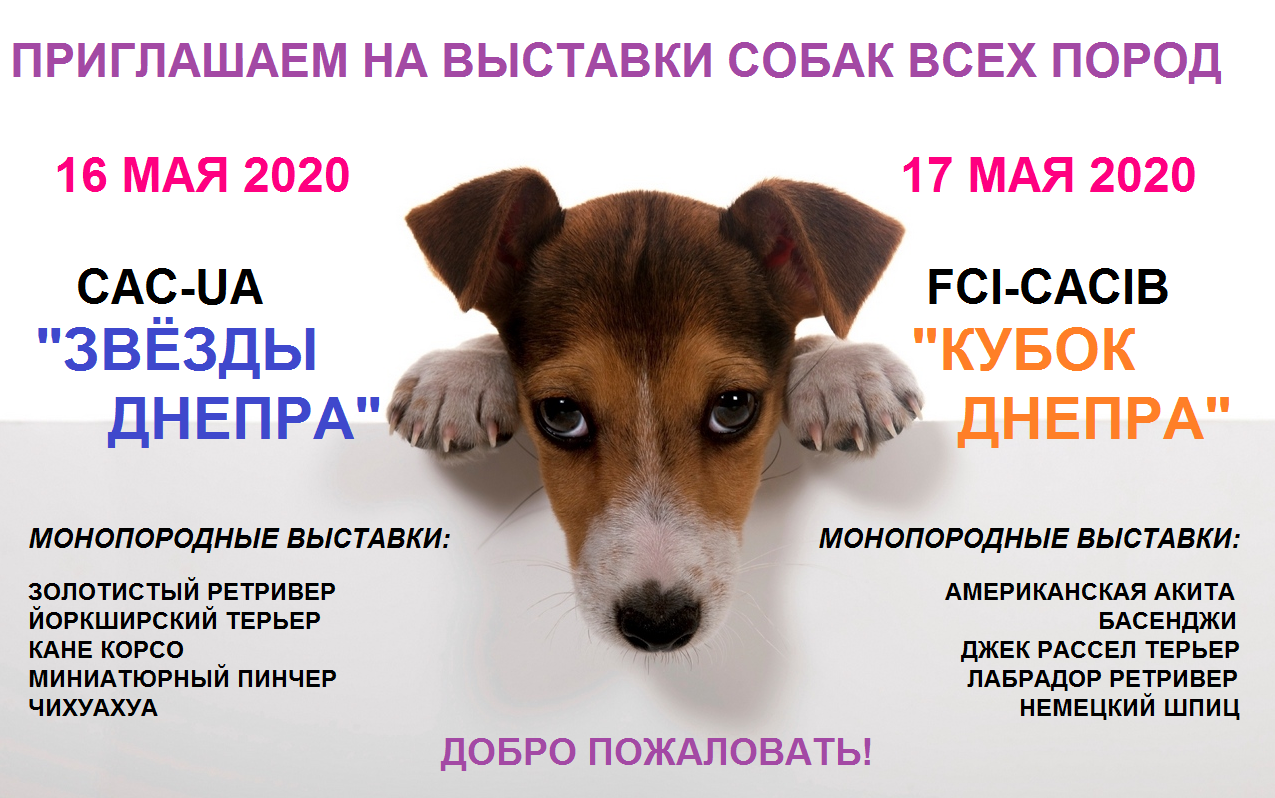 АНОНС 2020