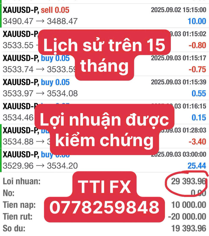 Kết quả giao dịch robot 