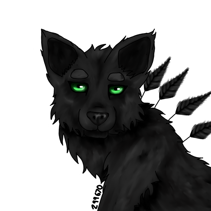 DTOCAY-nox.png