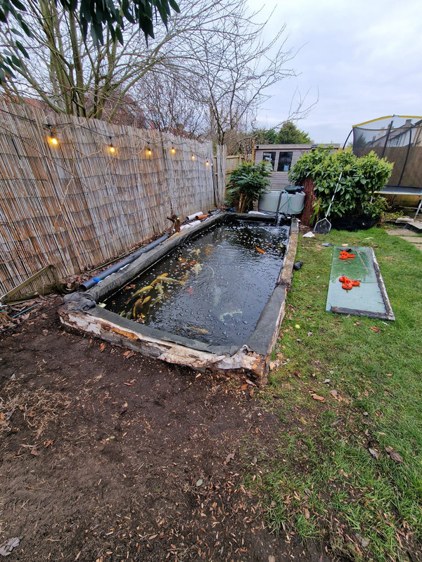 WhatsApp Image 2024-03-15 at 07.28.35