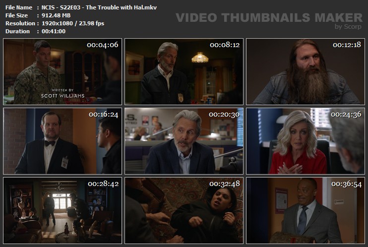 NCIS - S22E03 - The Trouble with Hal.mkv