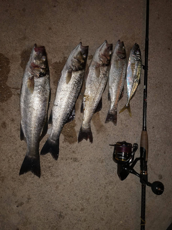 122272149_2828906267213081_1541972177920996117_n