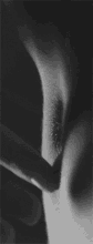ezgif.com-effects (3).gif