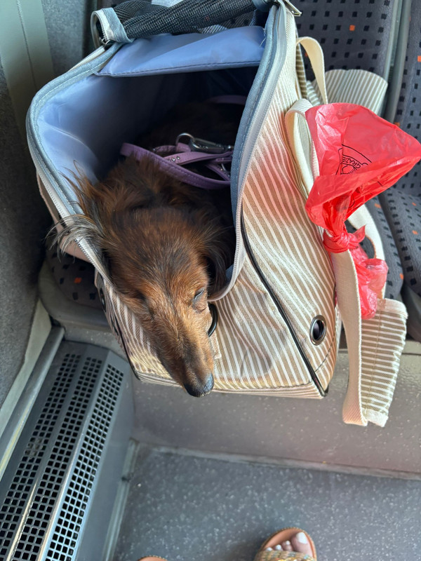 [Image: IMG-20250807-WA0005.jpg]