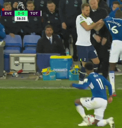 dyche.gif
