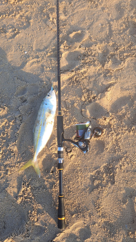 WhatsApp Image 2023-09-19 at 17.48.00 (1)