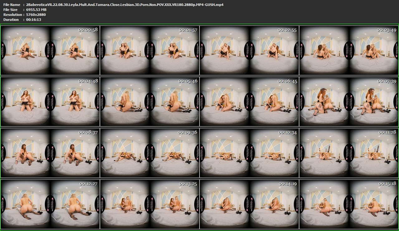 10092022172556screenshot