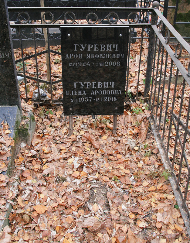 gurevich-ay
