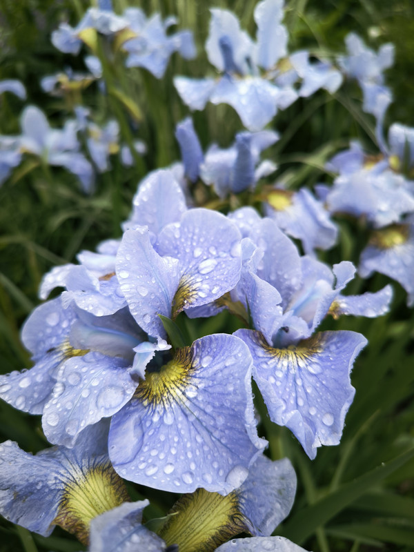 IMG_20240605_194638