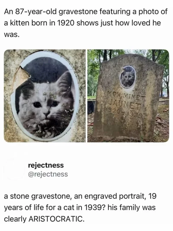 jukszvtcrwlh1