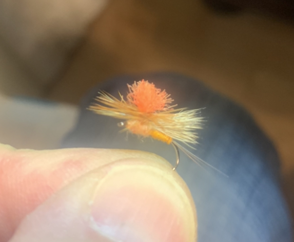 CA3D4BE2-CA18-4E12-8D65-32D8A349E259