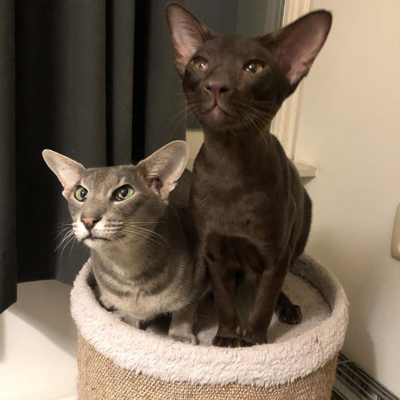 72EF0A5D-2912-4CA8-B7D4-E8D835060520