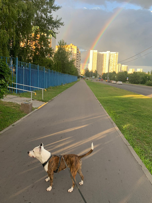 4E0D1930-CE2D-4ABD-8E59-D2131B2718C4