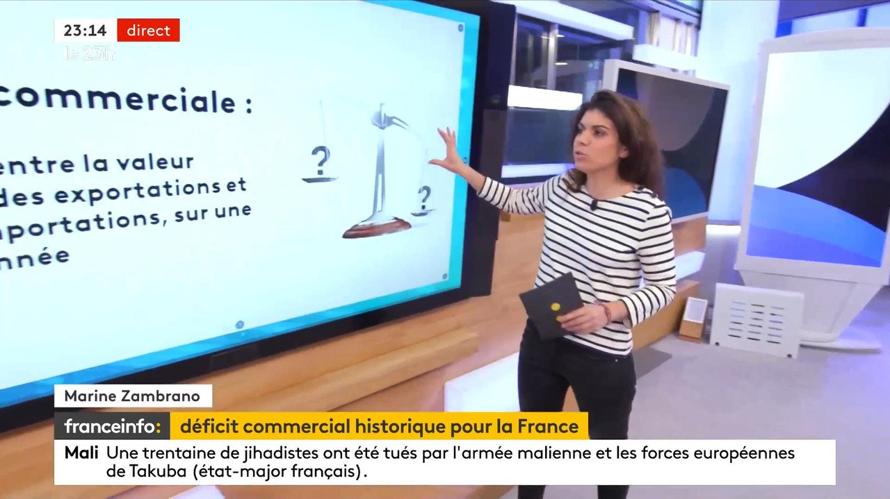 02.08 - 21.59.00 - Le 23H. Le Grand Jt Du Soir De France Télévisions,...-1.m4v_snapshot_00.17.37_[20