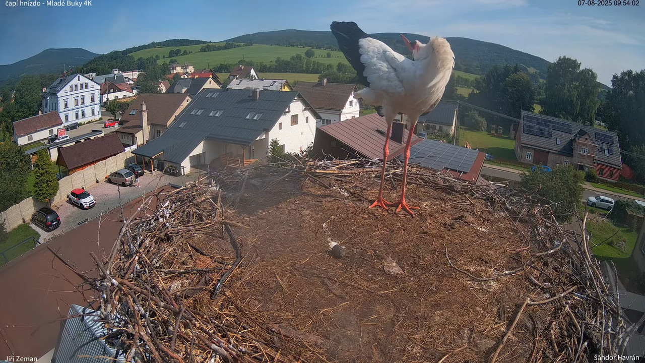 Tiešraides kamera — Mladé Buky — stārķa ligzda 4K 11-8-42 screenshot