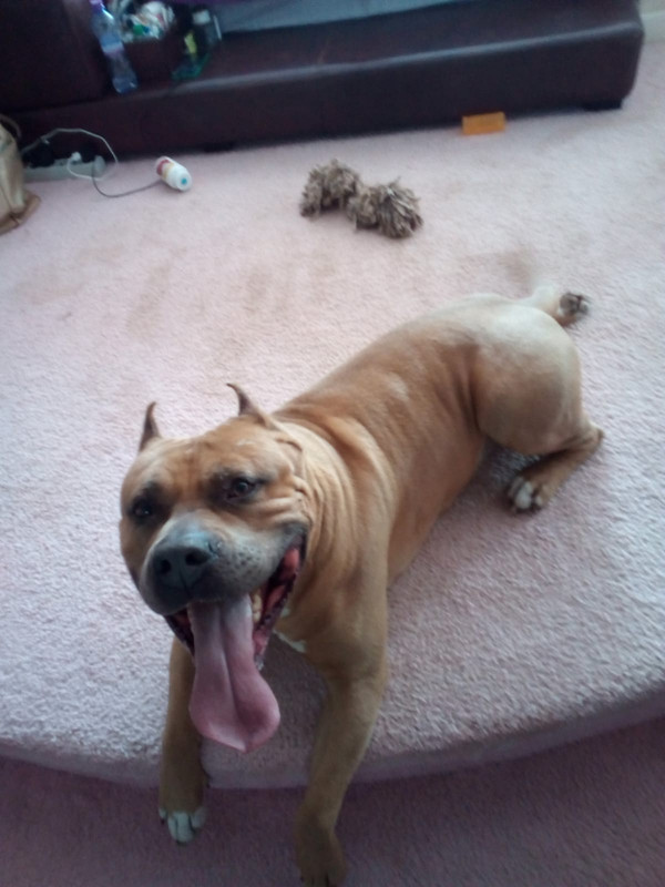 567158C4-B5F5-4701-963A-54A775B09E41