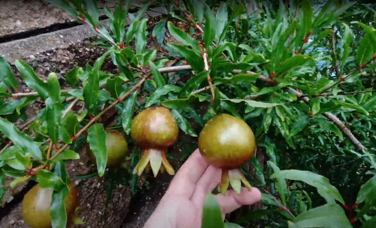 Screenshot 2023-08-19 153951