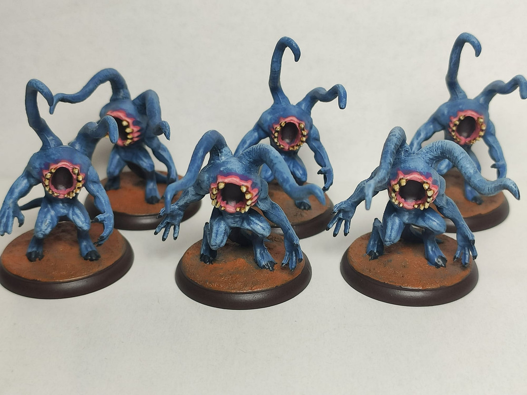 WhatsApp Image 2023-11-01 at 17.48.09(2)