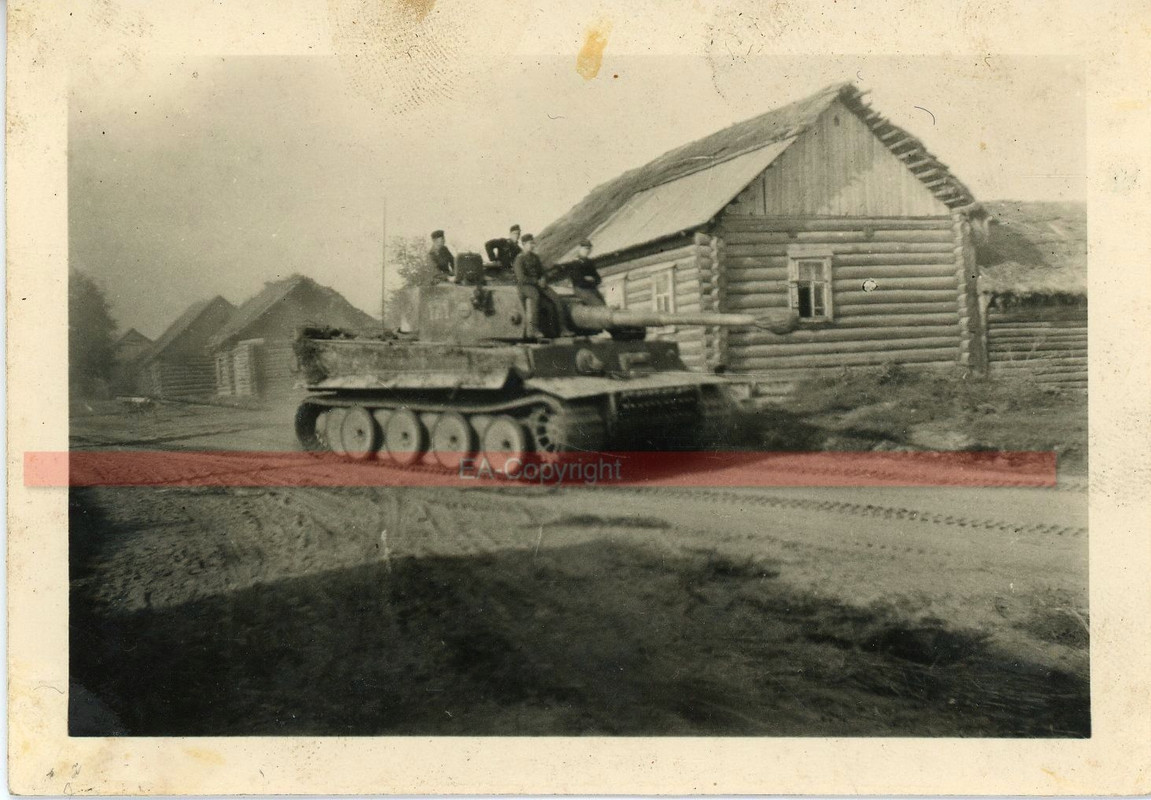 Tiger Panzer Tank kämpfe Russland Foto