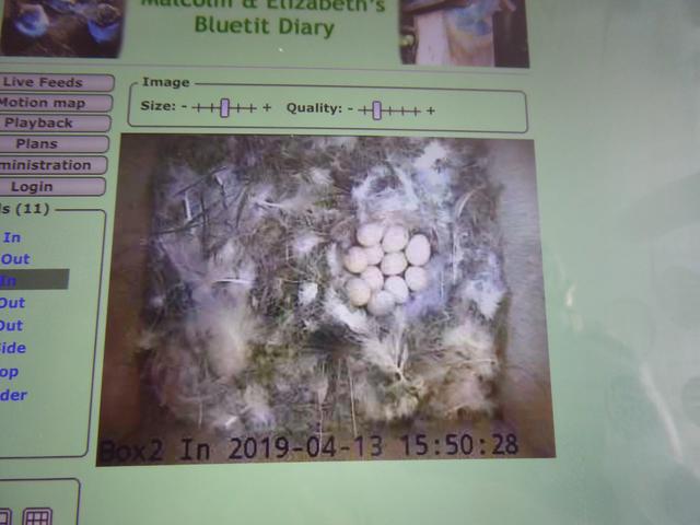 F2C0C4E5-D0D7-446E-B21A-AD81715F0DE3