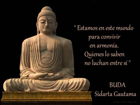 budas-533x400
