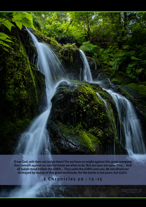 zPGFE Rainforest Waterfall Poster 2Chronicles20.12 Poster