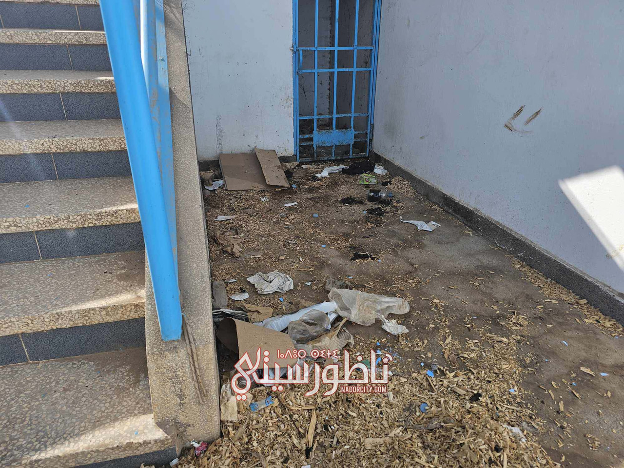 576142941-1175883171166022-6394886243385766850-n