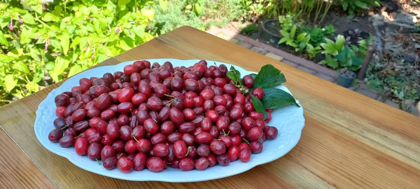 изображение_viber_2025-09-04_16-33-48-743