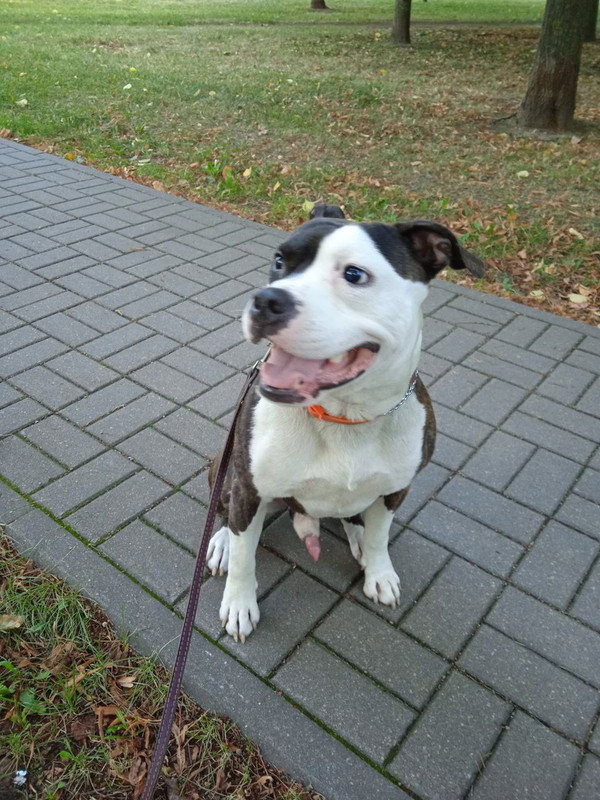 0B959889-ACDE-45B5-8E91-62FA934AF460